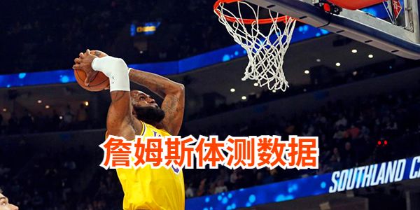 詹姆斯体测数据一览表