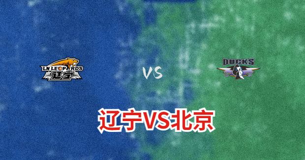 北京vs辽宁