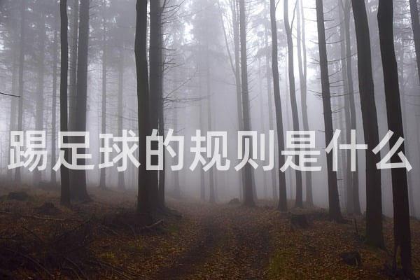 踢足球的规则是什么