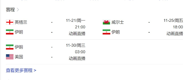 卡塔尔世界杯伊朗队赛程直播高清图