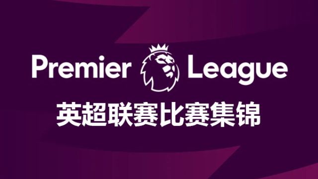 2022-23赛季英超联赛第18轮比赛集锦